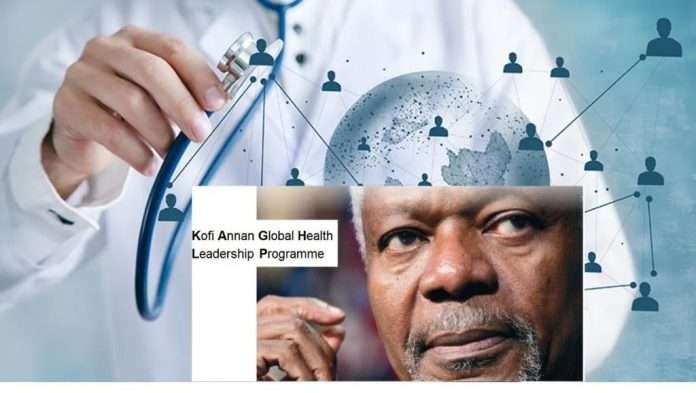 2022 Kofi Annan Global Health Leadership Programme For Emerging Leaders