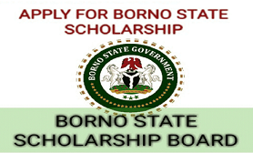 Borno State Scholarship 2022: Requirements and How to Apply