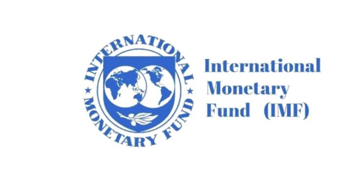 Apply For 2022 International Monetary Fund (IMF) Economist Program For PhD Graduates