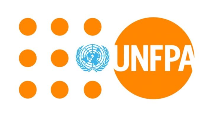 2022 UNFPA Young Professionals Programme for Africans