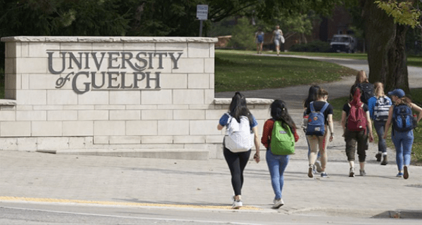 Study in Canada: University of Guelph President's Scholarship for Undergraduate Students