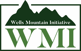 2022 Wells Mountain Initiative (WMI) Scholars Program for Developing Countries