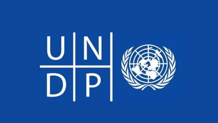 As A Young Student Apply for 2021 UNDP Internship Program