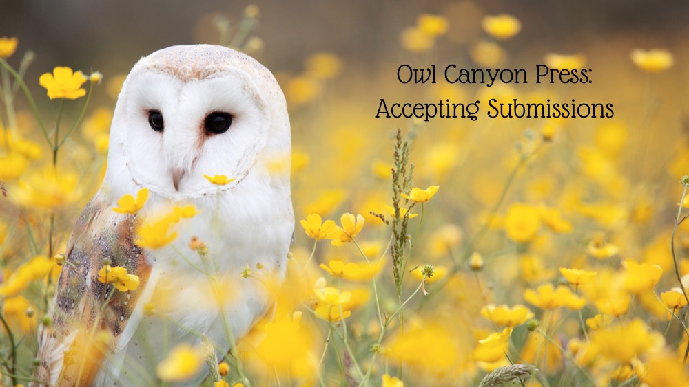 Apply For 2022 Owl Canyon Contest for Essays (Prize $5,000)