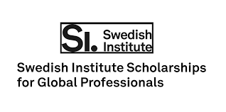 2022/2023 Swedish Institute Scholarships for Global Professionals