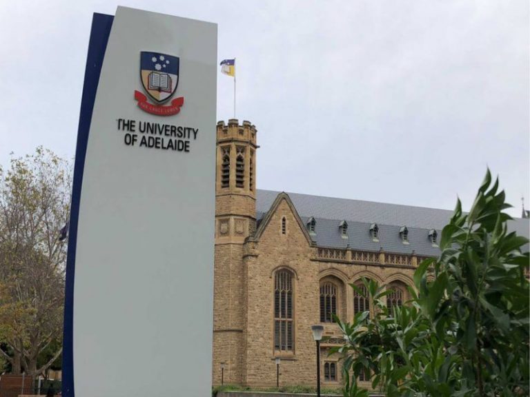 2022 University of Adelaide Research Project Scholarship