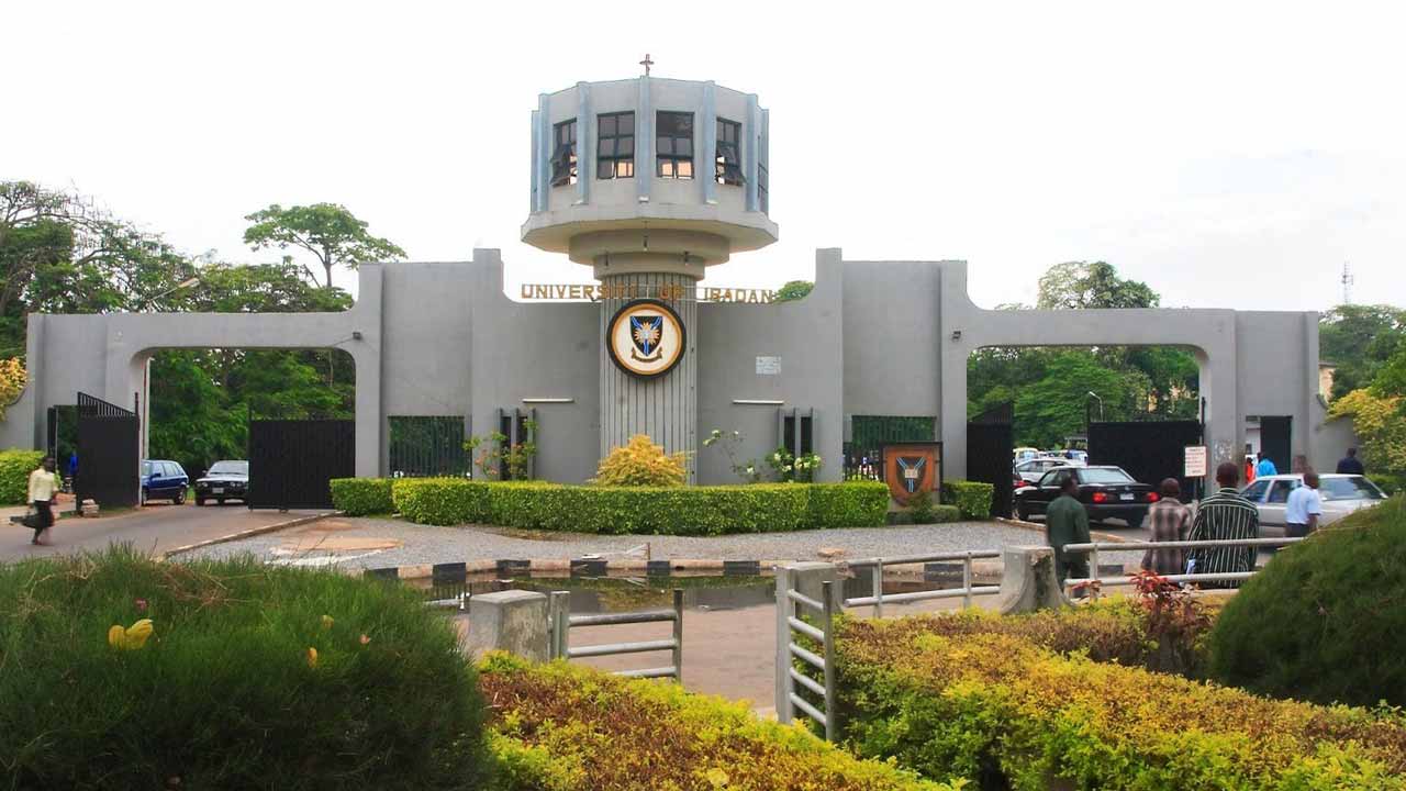 2022 University of Ibadan SASP Scholarships for Indigent Students