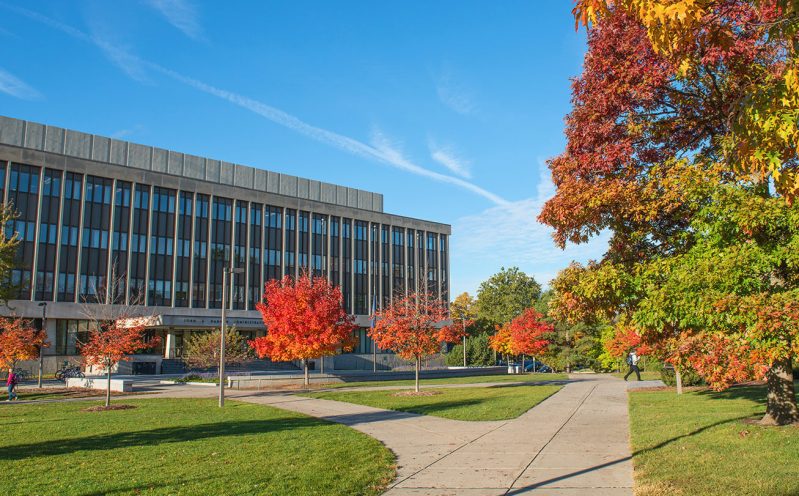Study In USA: 2022 Michigan State University Scholarship for International Students