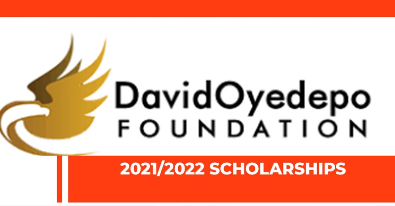 David Oyedepo Foundation Scholarship for African Students