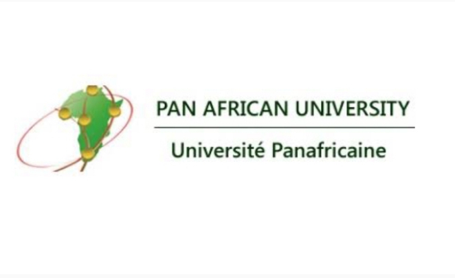 Study In Africa: 2022 Pan-African University Scholarships for African Students