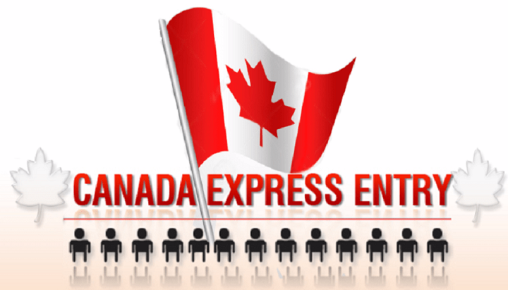 Canadian Immigration Steps Via Express Entry | How to Apply