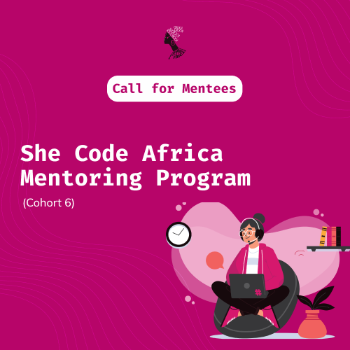 She Code for Africa Laptop Scholarship Fund Application – Q3