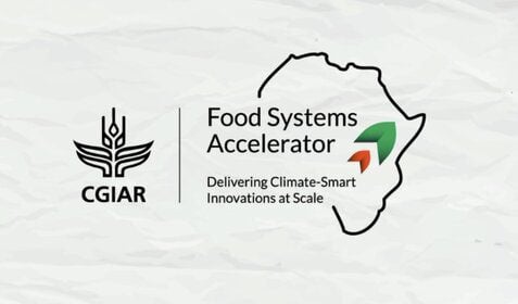 2023 The CGIAR Food Systems Accelerator Program for climate innovators