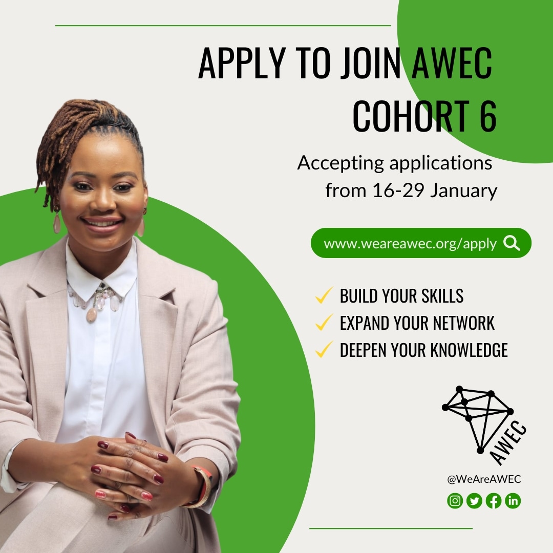 2023 African Women Entrepreneurship Cooperative (AWEC) Programme for African Female Business Owners (Cohort 6)