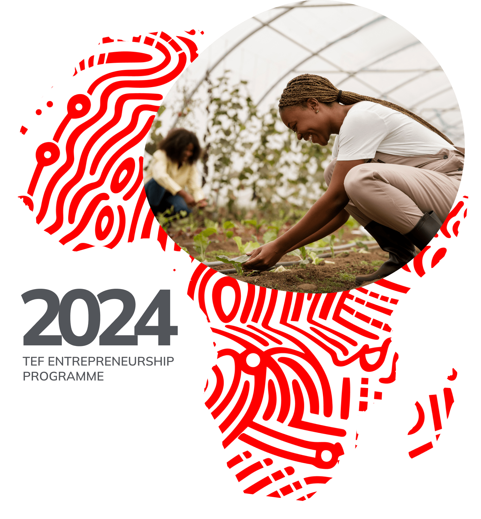 Tony Elumelu Foundation Grant 2024 Tefconnect 2024 Latest