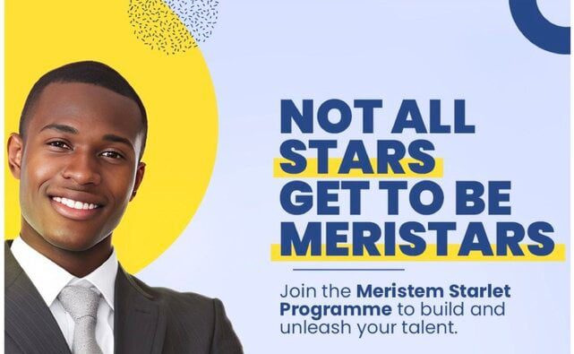 Meristem’s Starlet Graduate Trainee Program 2024 For Young Nigerian ...